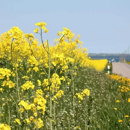 In Nahe Ostsee Damshagen