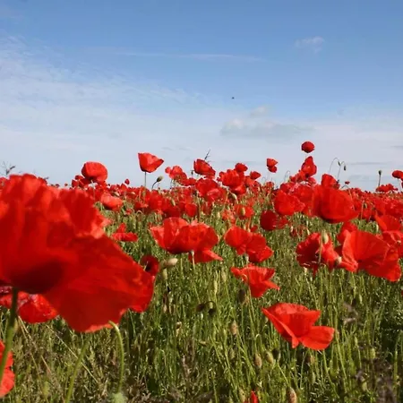 Casa vacanze In Nahe Ostsee