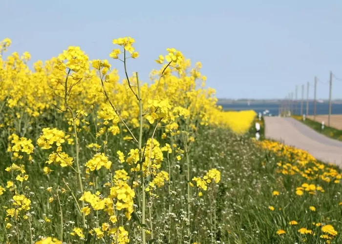 In Nahe Ostsee Damshagen