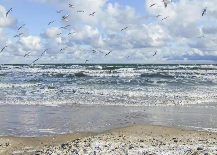In Nahe Ostsee Σπίτι διακοπών *